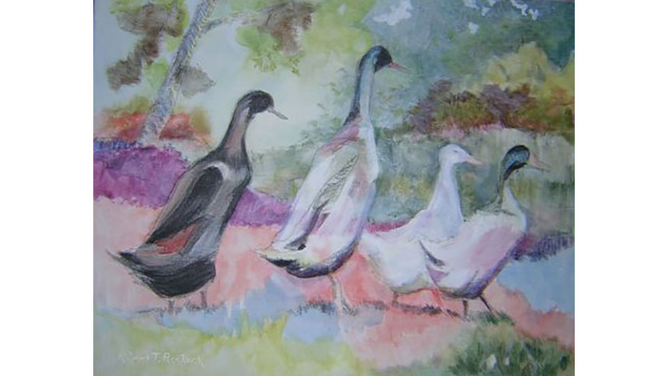 4 Ducks - sold